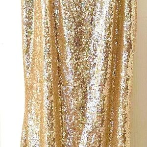Sequin Gold Skirt
